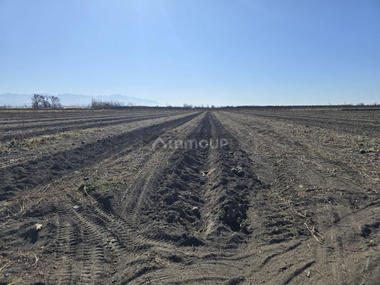 Finca en Venta en Tunuyan, Mendoza