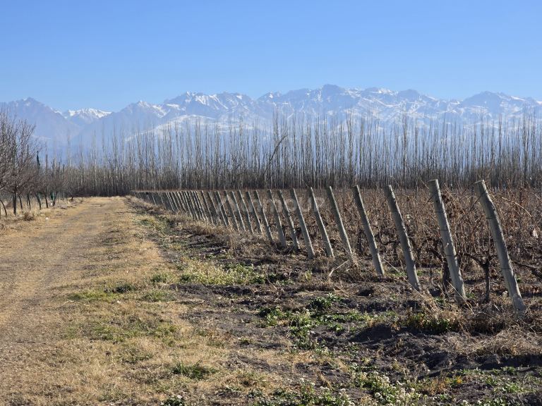 Finca en Venta en Tunuyan, Mendoza