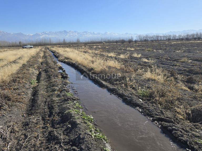 Finca en Venta en Tunuyan, Mendoza