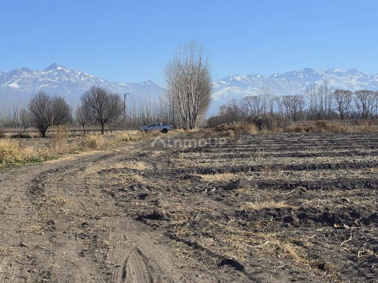 Finca en Venta en Tunuyan, Mendoza
