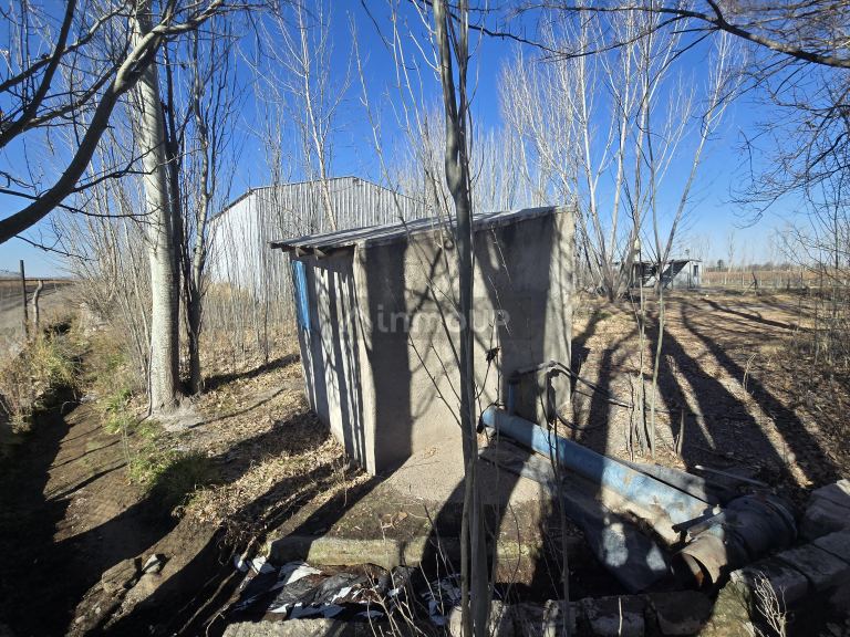 Finca en Venta en Tunuyan, Mendoza