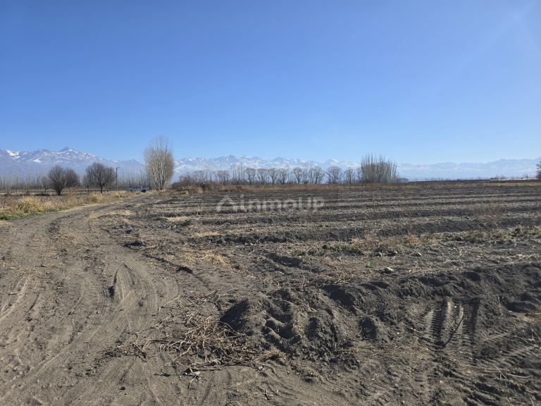 Finca en Venta en Tunuyan, Mendoza
