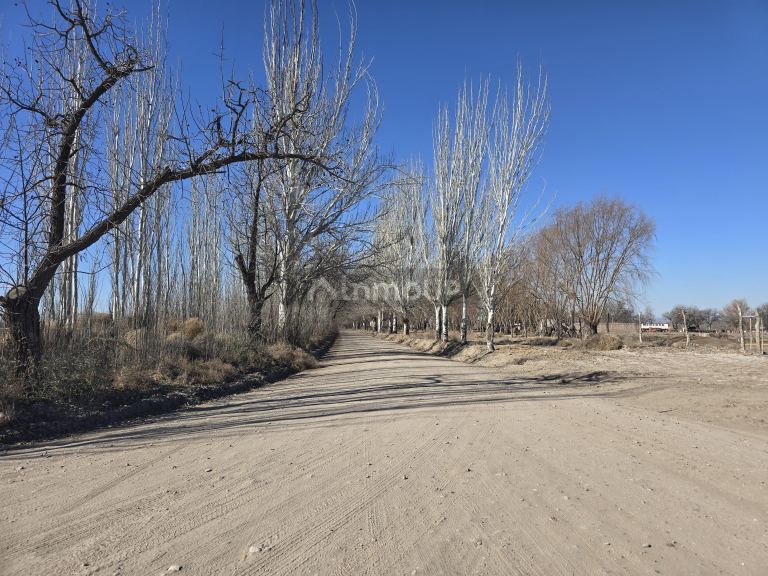 Finca en Venta en Tunuyan, Mendoza