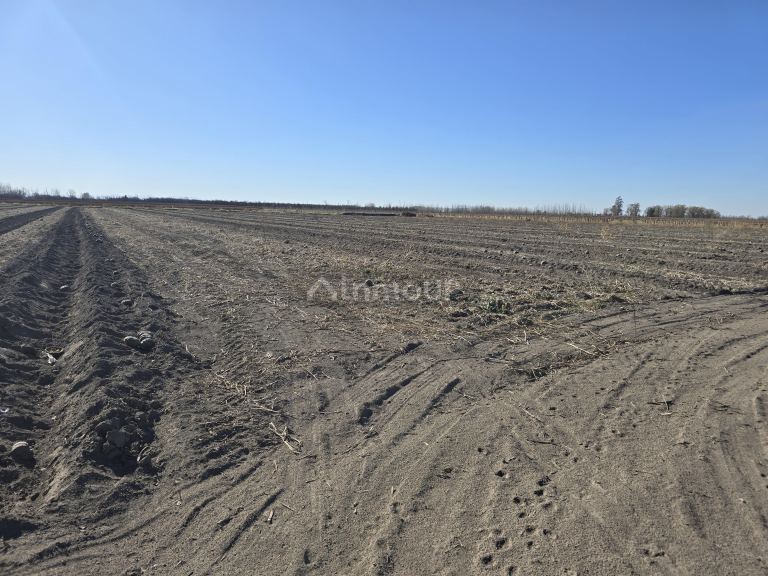 Finca en Venta en Tunuyan, Mendoza