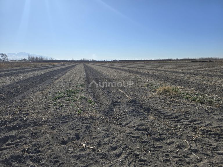 Finca en Venta en Tunuyan, Mendoza