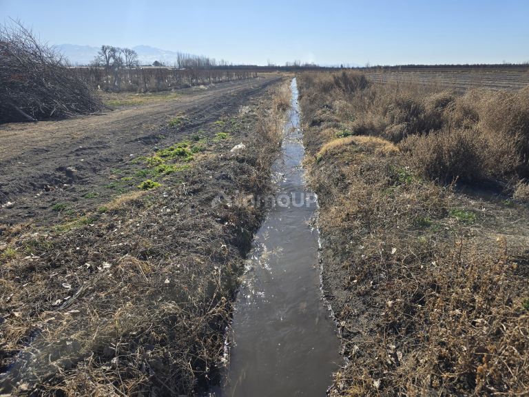 Finca en Venta en Tunuyan, Mendoza