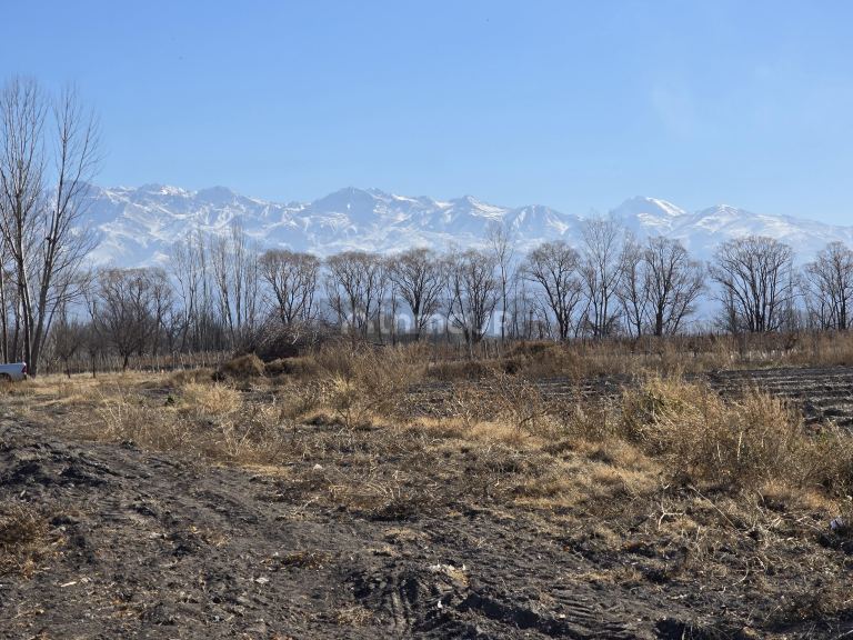 Finca en Venta en Tunuyan, Mendoza