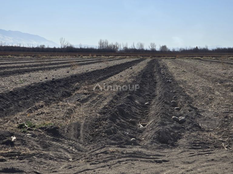 Finca en Venta en Tunuyan, Mendoza