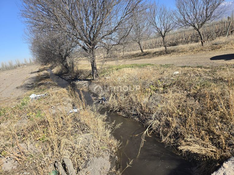 Finca en Venta en Tunuyan, Mendoza