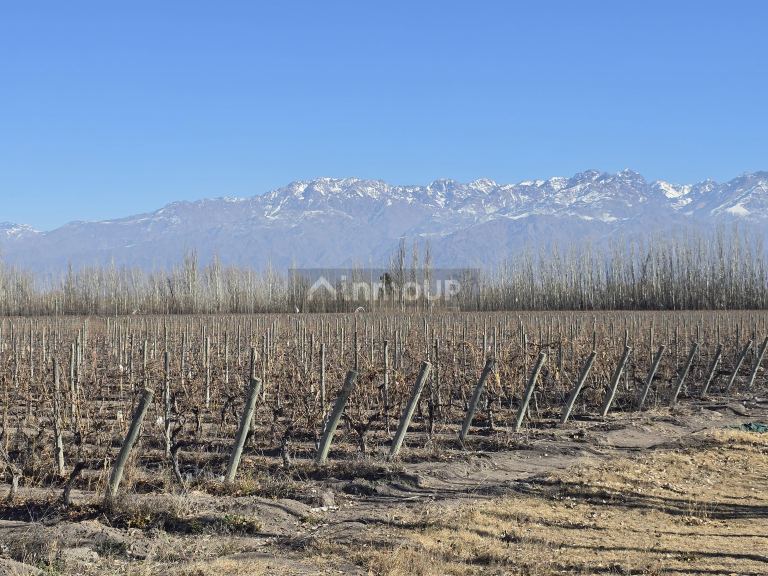 Finca en Venta en Tunuyan, Mendoza