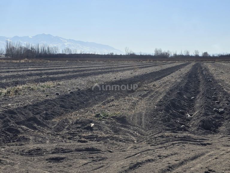 Finca en Venta en Tunuyan, Mendoza