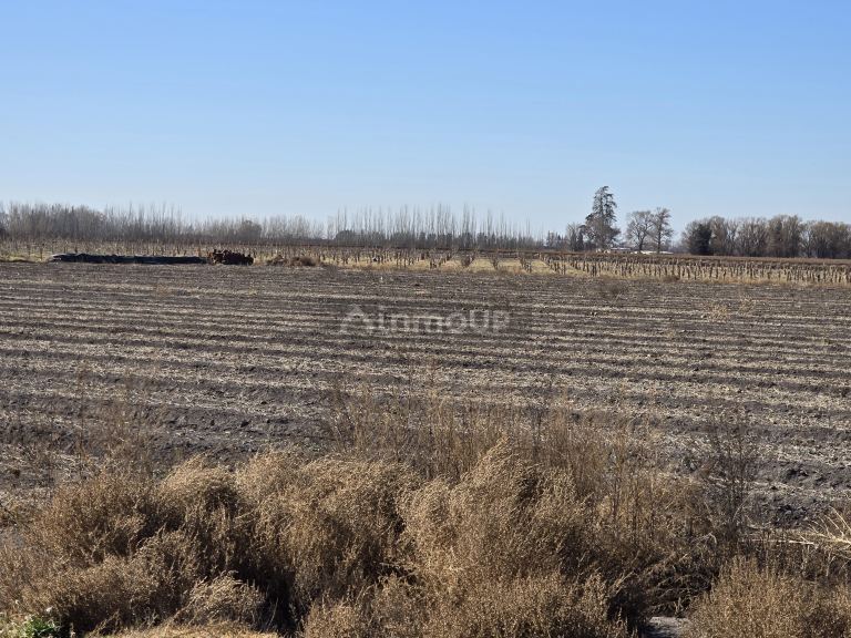 Finca en Venta en Tunuyan, Mendoza