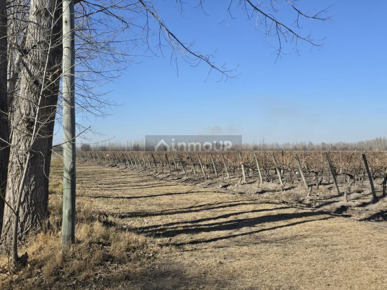 Finca en Venta en Tunuyan, Mendoza