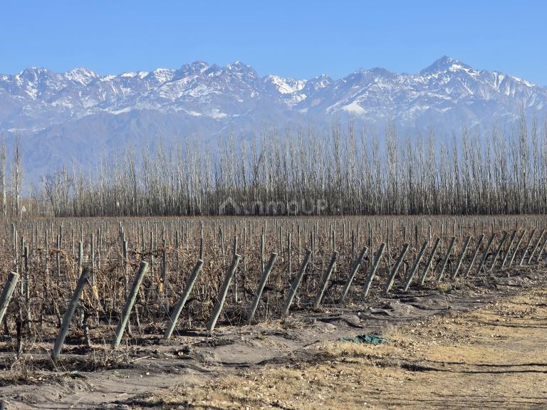 Finca en Venta en Tunuyan, Mendoza