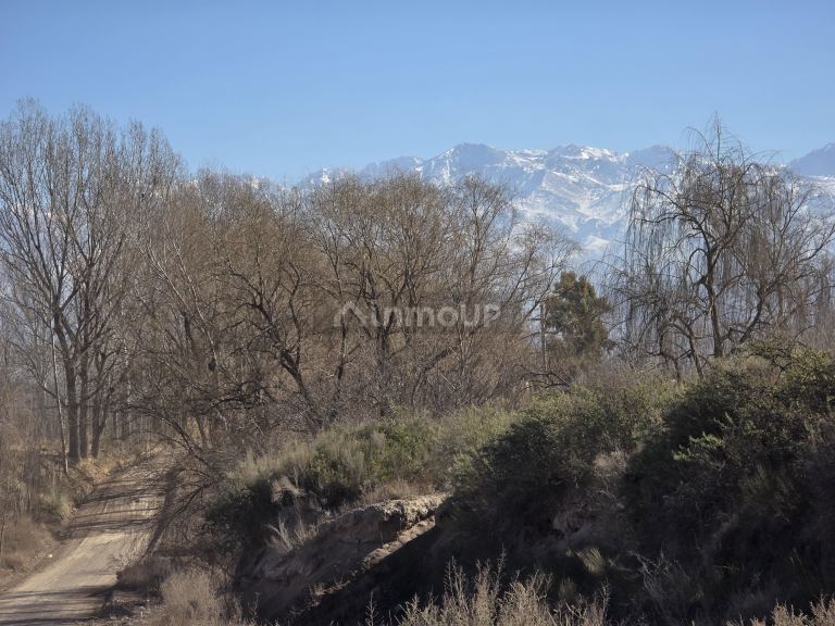 Finca en Venta en Tunuyan, Mendoza