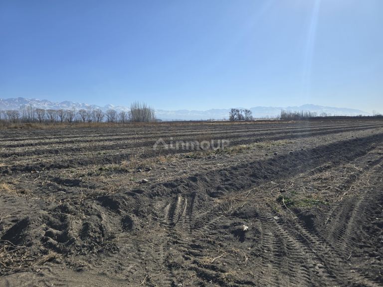 Finca en Venta en Tunuyan, Mendoza