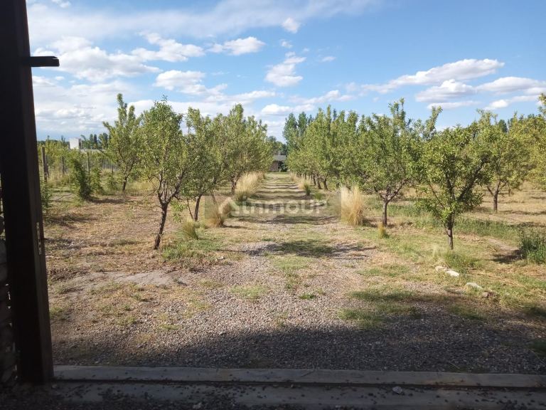 Casa en Venta en Tunuyan, Mendoza