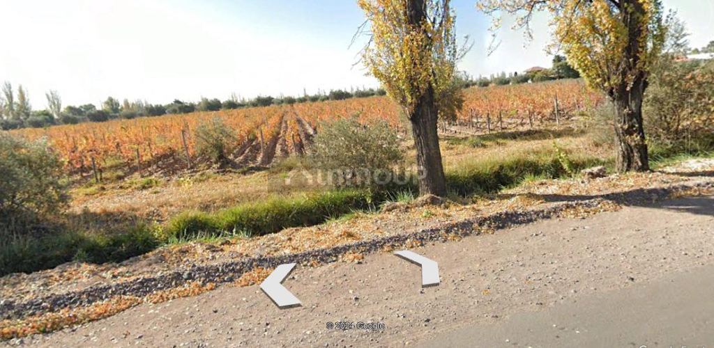 Finca en Venta en Maipu, Mendoza