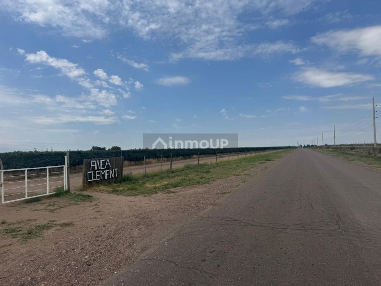 Finca en Venta en Santa Rosa, Mendoza