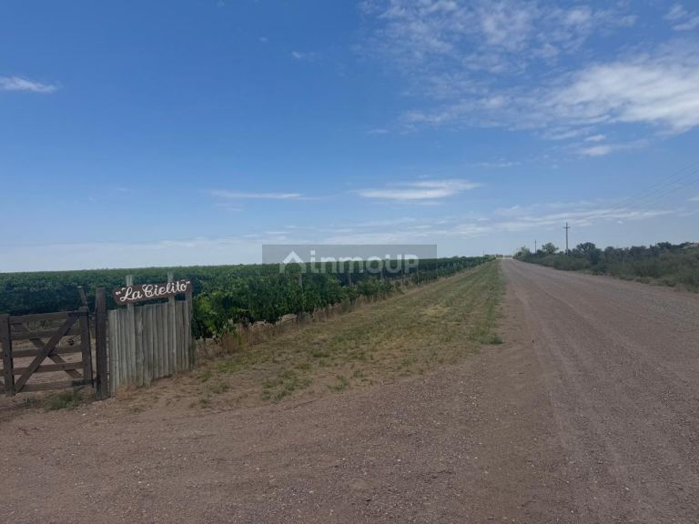 Finca en Venta en Santa Rosa, Mendoza