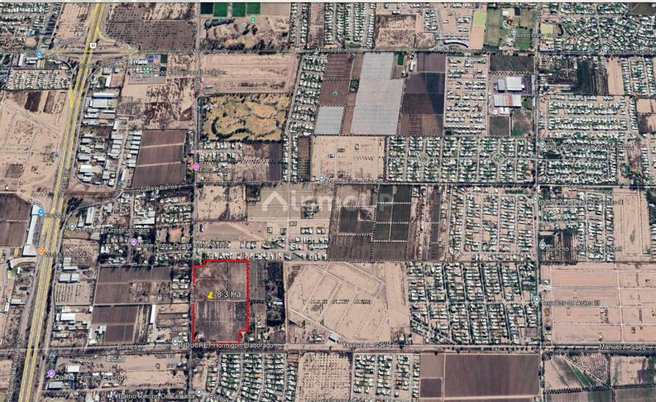 Finca en Venta en Lujan de Cuyo, Mendoza