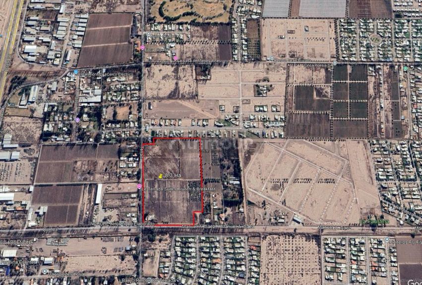 Finca en Venta en Lujan de Cuyo, Mendoza