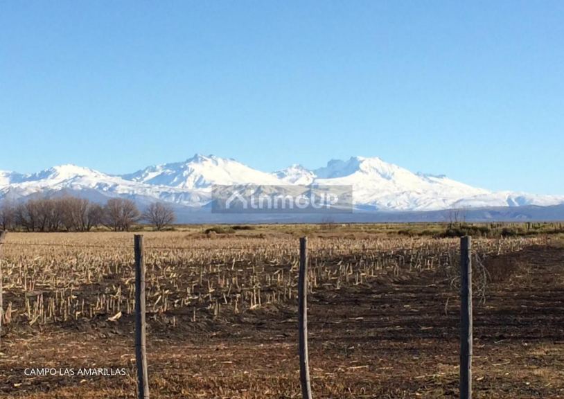Campo en Venta en Malargue, Mendoza