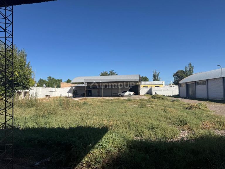 Galpon en Alquiler en San Martin, Mendoza