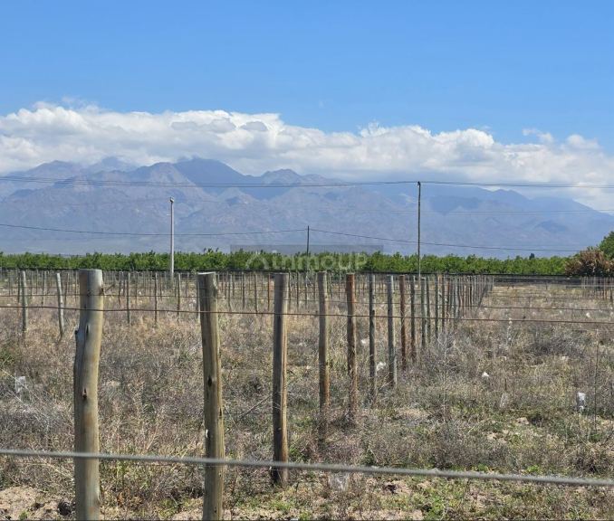 Lote en Venta en Tunuyan, Mendoza