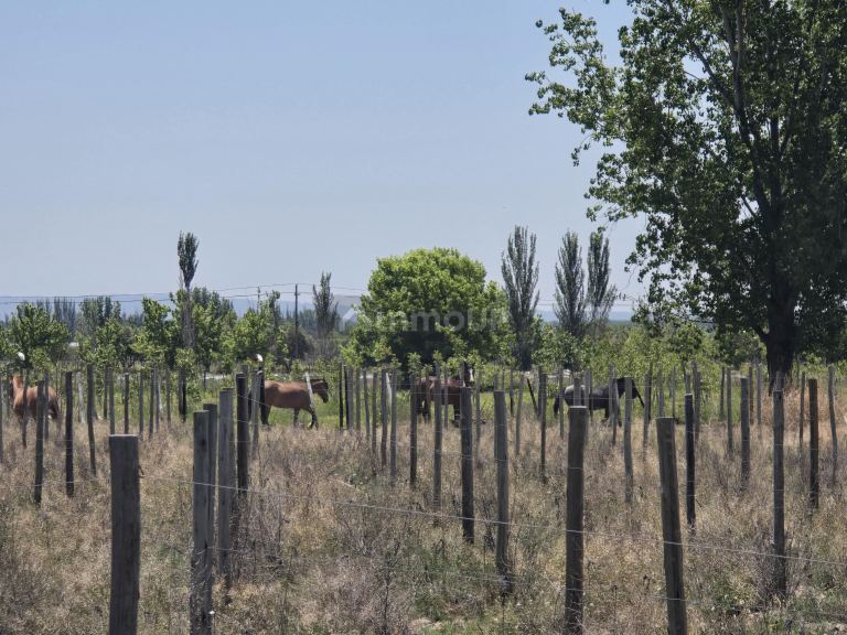 Lote en Venta en Tunuyan, Mendoza