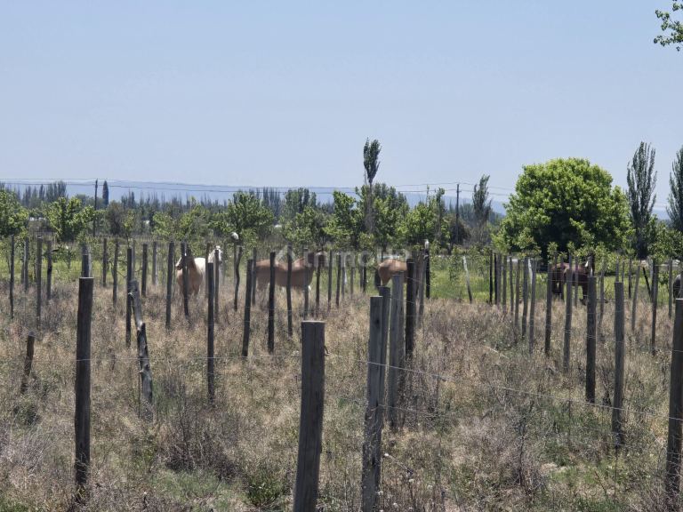 Lote en Venta en Tunuyan, Mendoza