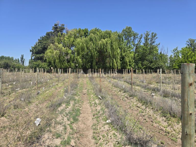 Lote en Venta en Tunuyan, Mendoza