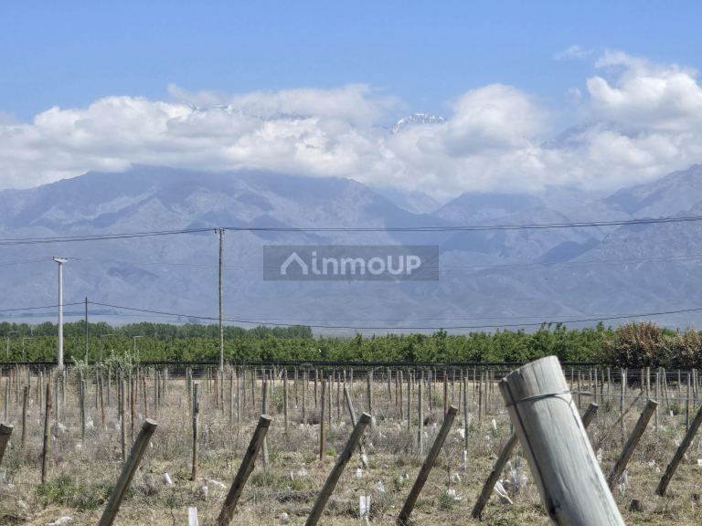 Lote en Venta en Tunuyan, Mendoza