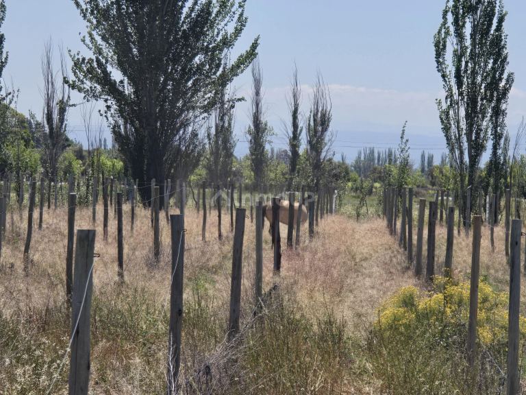 Lote en Venta en Tunuyan, Mendoza