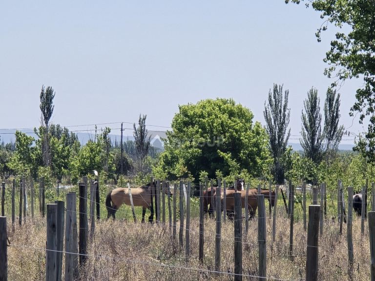 Lote en Venta en Tunuyan, Mendoza