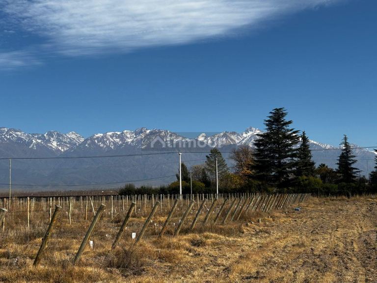 Lote en Venta en Tunuyan, Mendoza