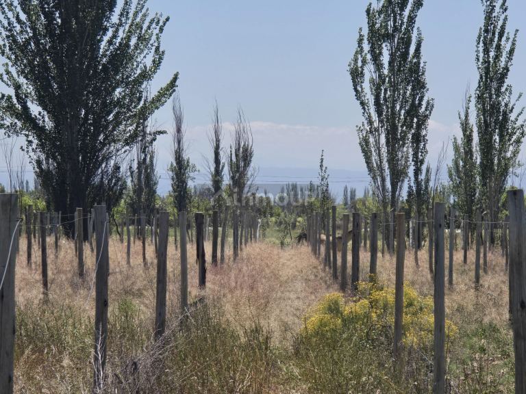 Lote en Venta en Tunuyan, Mendoza
