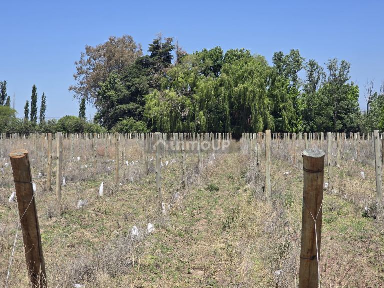 Lote en Venta en Tunuyan, Mendoza