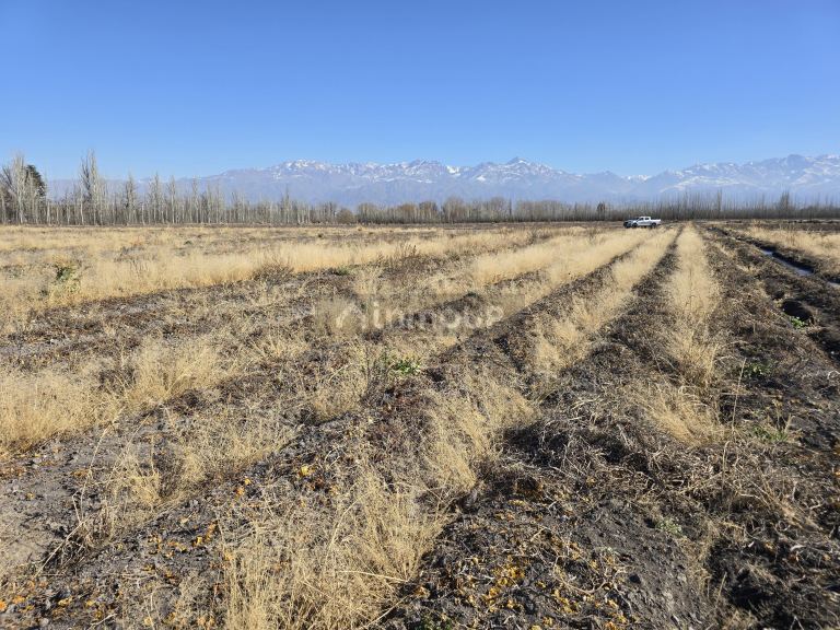 Finca en Venta en Tunuyan, Mendoza