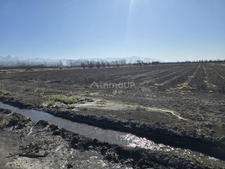 Finca en Venta en Tunuyan, Mendoza