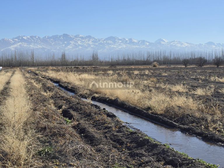 Finca en Venta en Tunuyan, Mendoza