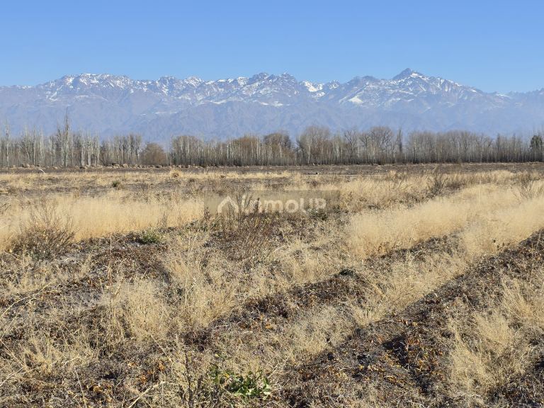 Finca en Venta en Tunuyan, Mendoza