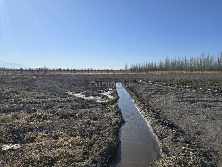Finca en Venta en Tunuyan, Mendoza
