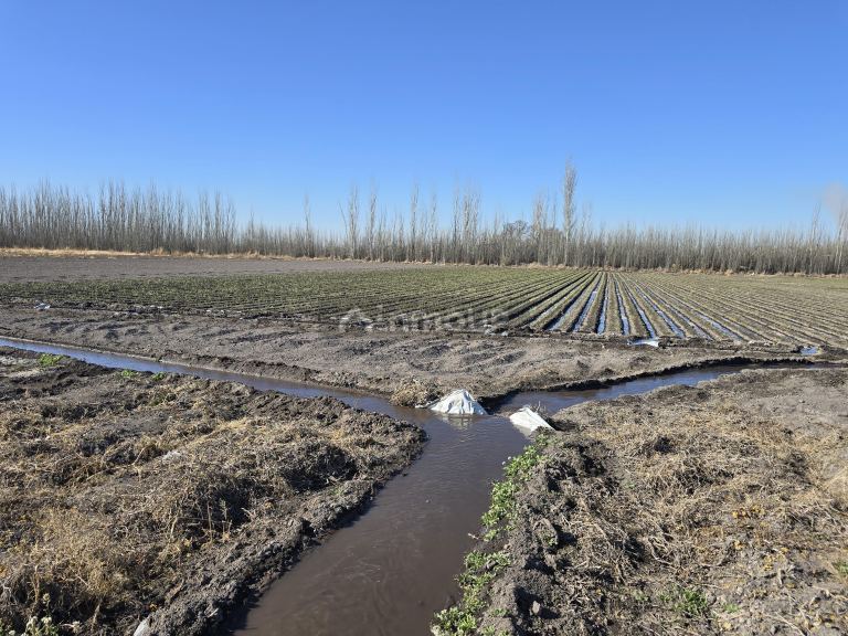 Finca en Venta en Tunuyan, Mendoza