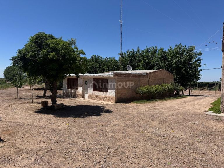 Finca en Venta en Lujan de Cuyo, Mendoza