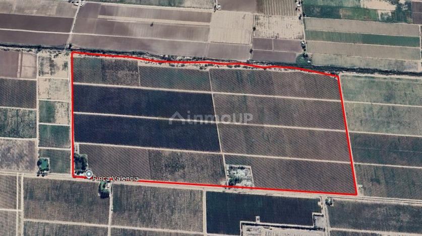 Finca en Venta en Lujan de Cuyo, Mendoza