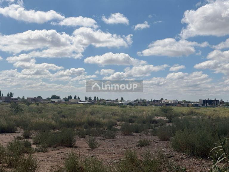 Lote en Venta en Lujan de Cuyo, Mendoza