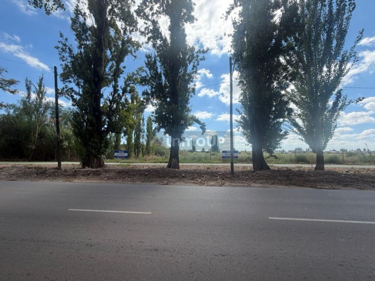 Lote en Venta en Lujan de Cuyo, Mendoza