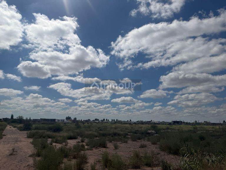 Lote en Venta en Lujan de Cuyo, Mendoza