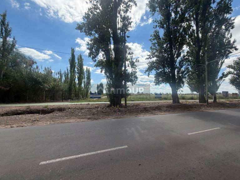 Lote en Venta en Lujan de Cuyo, Mendoza